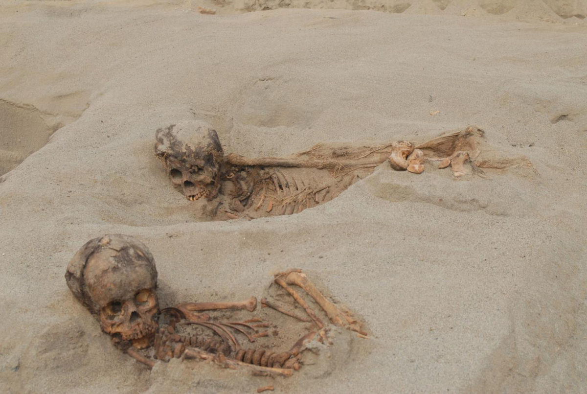 Mummified children. Credit: 
John Verano (2019)