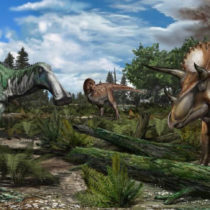 Dinosaurs were thriving before asteroid strike that wiped them out