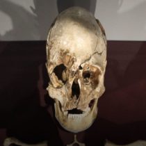 Ancient DNA shows migrants introduced farming to Britain from Europe