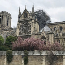 UNESCO experts ready to assist reconstruction of iconic Notre Dame, following devastating blaze