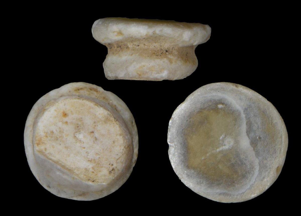 Prehistoric shell ornaments made with freshwater mother-of-pearl. Credit: Jérôme Thomas (UMR CNRS 
6282 Biogeosciences, University of Burgundy-Franche-Comté.