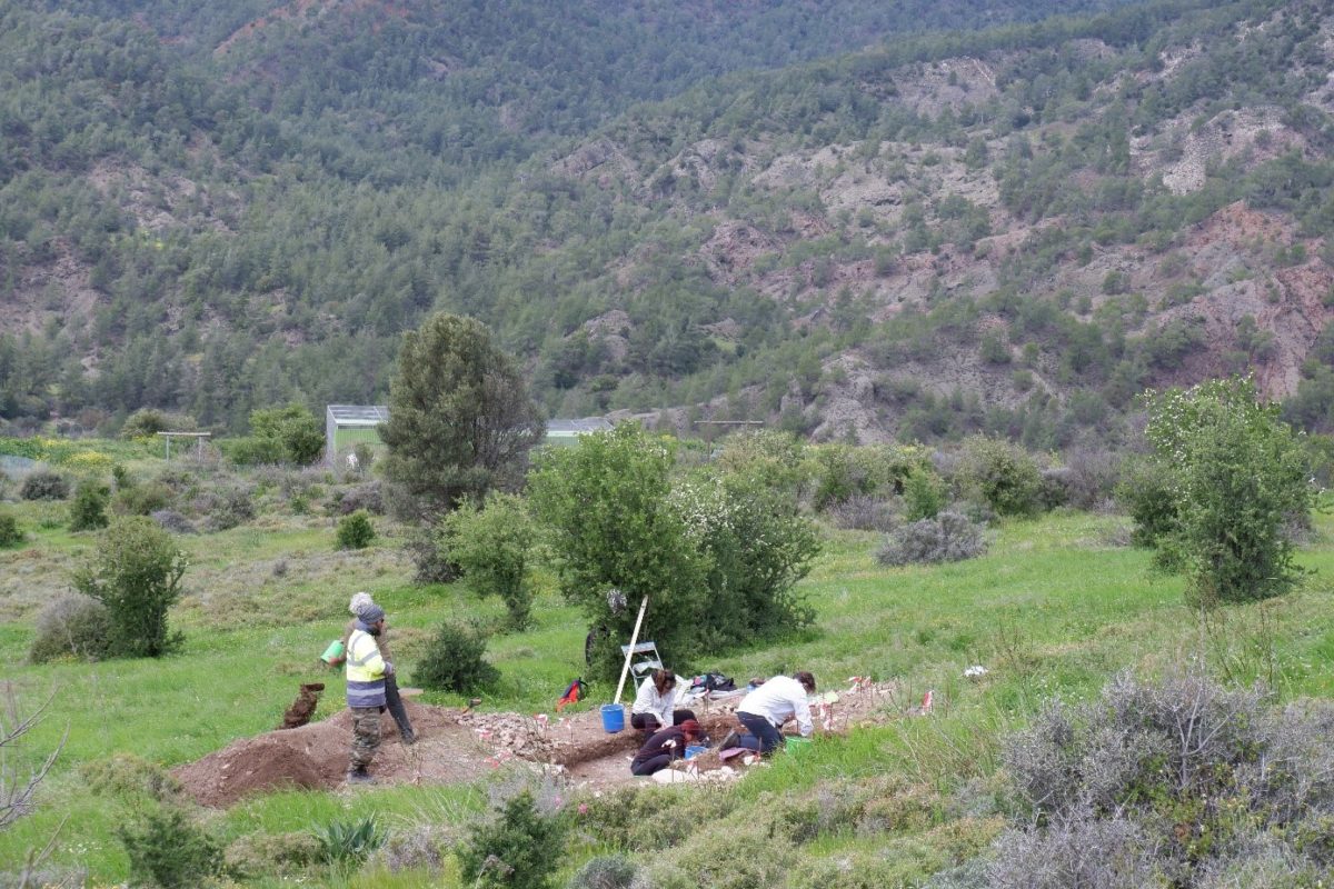 General view of the newly discovered site of Agios Ioannis/Vretsia-Rhoudias.