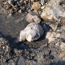 New finds from underwater research on Salamis