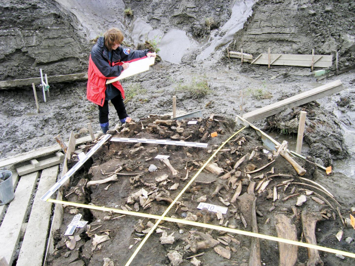 Alla Mashezerskaya maps the artefacts in the area where two 31,000-year-old milk teeth were found. Credit: Elena Pavlova