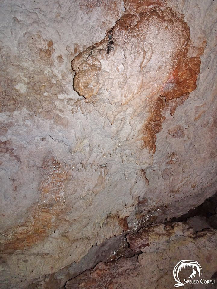 The journey to the core of Corfu lasted 15 days and 25 caves were explored (Photo AMNA).