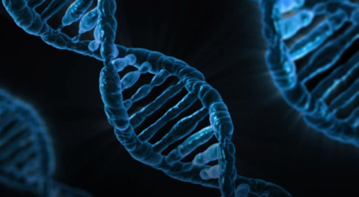 This is the first time analysis of modern genomes has estimated the size of an ancient human population before they were met by a separate ancient population. Credit : Виталий Смолыгин