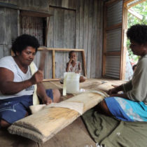 Human migration in Oceania recreated through paper mulberry genetics