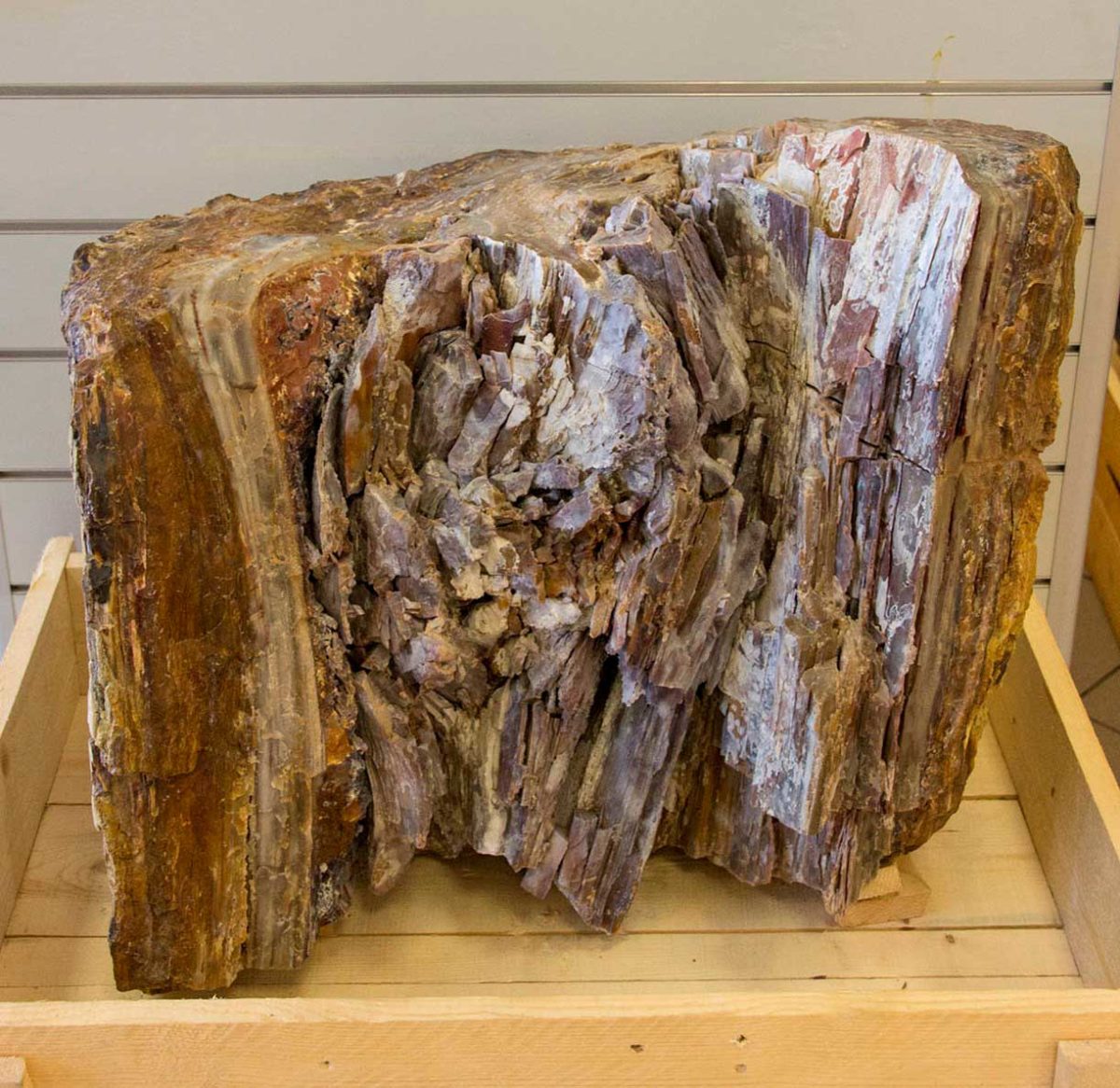 Fossilized tree trunk.