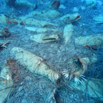 Ancient Shipwreck in the sea off Protaras, Cyprus