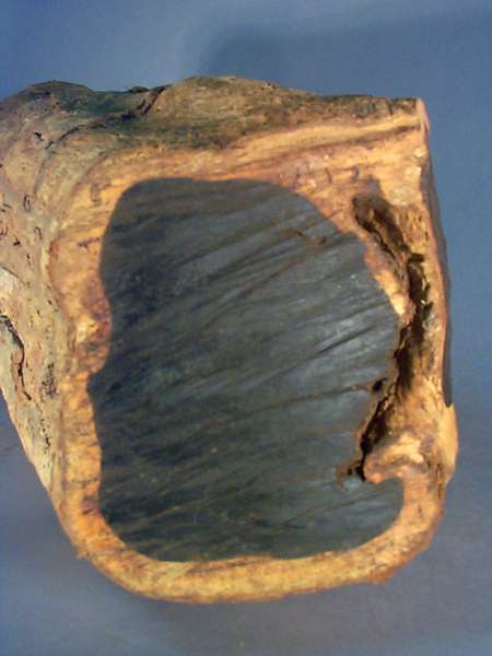Ebony wood. Source: Wikipedia