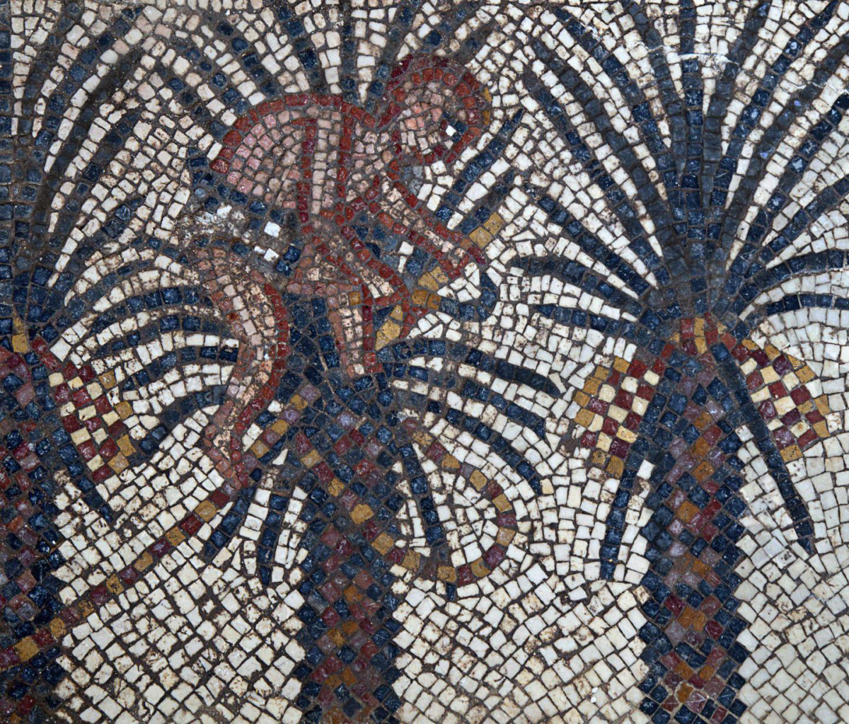 Elim mosaic detail, Huqoq Excavation Project. Copyright Jim Haberman. All rights reserved. Courtesy: UNC-Chapel Hill. Credit: Copyright Jim Haberman