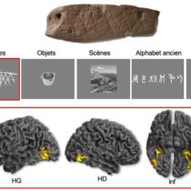 Neurosciences unlock the secret of the first abstract engravings