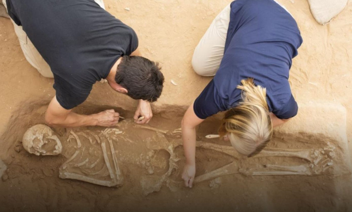 Excavation of the Philistine Cemetery at Ashkelon Credit : Melissa Aja. Courtesy Leon Levy Expedition to Ashkelon