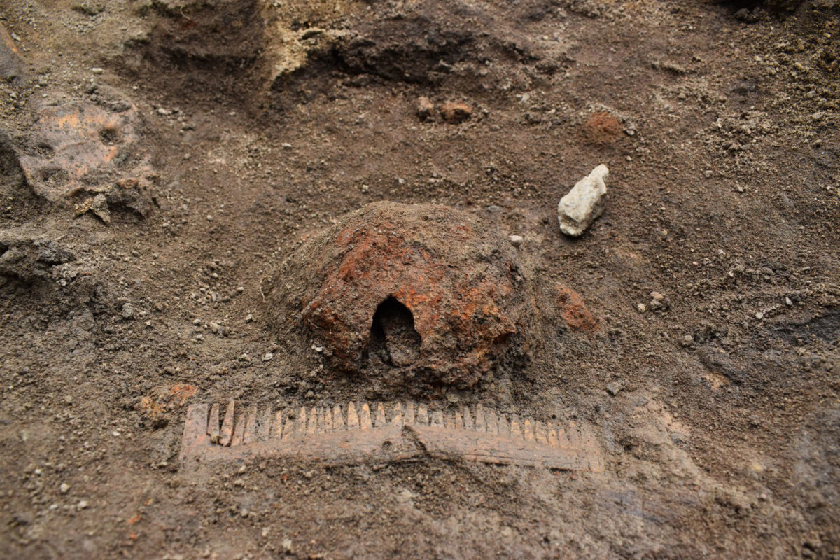 Part of the shield and an ornated comb found close to the dead man. Photo Credit: The Archaeologists CC-BY.
