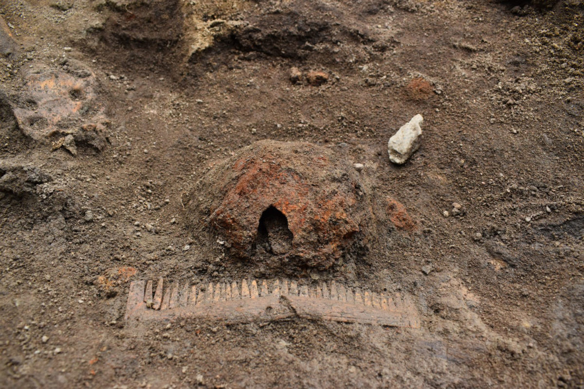 Part of the shield and an ornated comb found close to the dead man. Photo Credit: The Archaeologists CC-BY.
