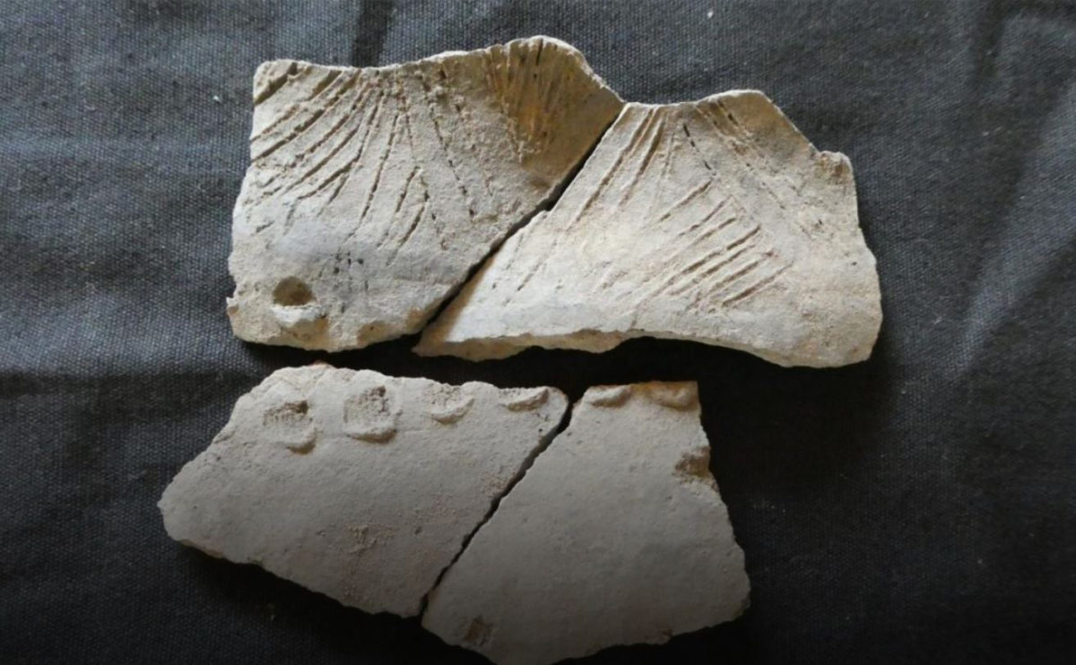 This is a shard of an ancient ceramic vessel from the insufficiently studied San Pedro complex found on Real Alto site, Ecuador. Credit : FEFU press office