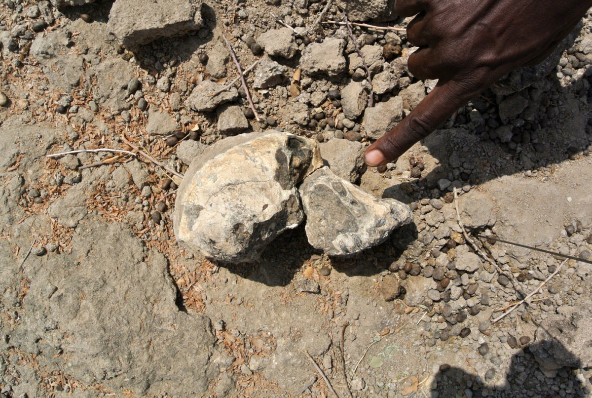 The cranium was discovered in 2016 at Miro Dora, Mille district of the Afar Regional State in Ethiopia.
Photo Credit: Yohannes Haile-Selassie/Cleveland Museum of Natural History/Max Planck Institute.