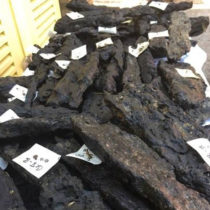 Prehistoric boat building platform found underwater