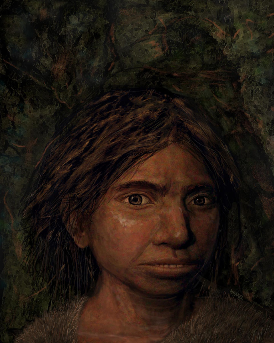 This image shows a portrait of a juvenile female Denisovan based on a skeletal profile reconstructed from ancient DNA methylation maps. Credit: Maayan Harel