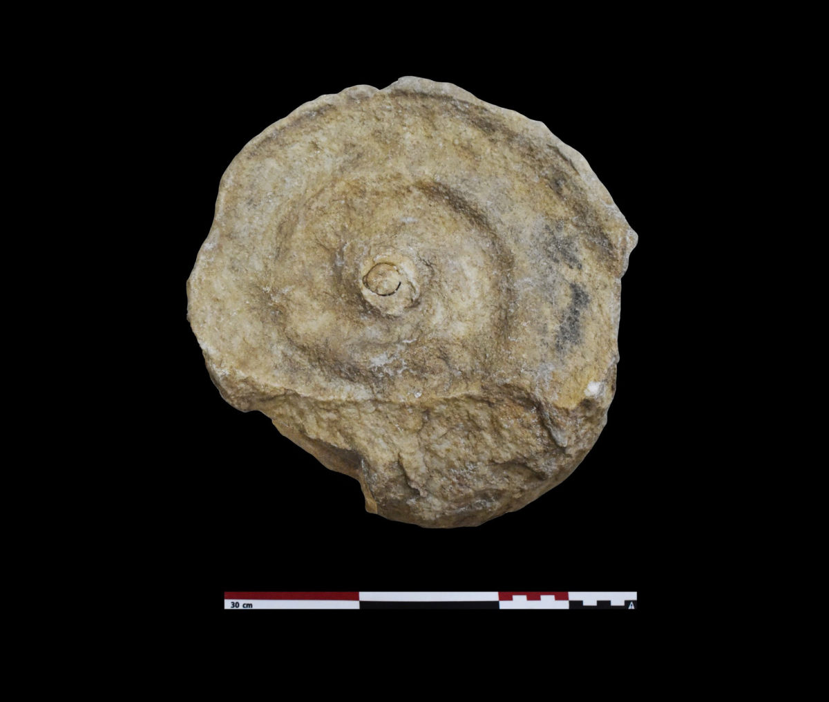 Volute of an Ionic column capital from the east end of the basilica’s north aisle (photo: MOCAS) 