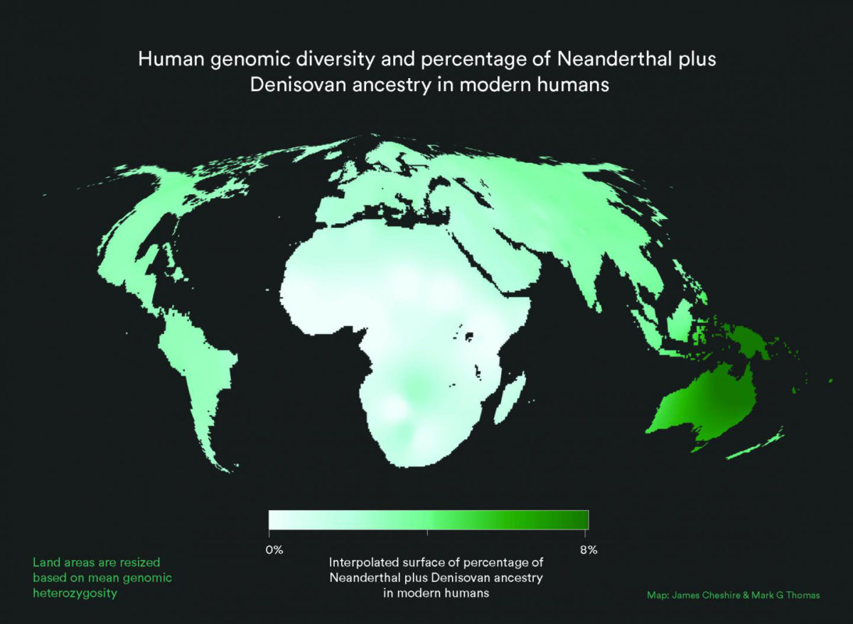 World map with land area resized to represent modern human genetic diversity and colour representing Neanderthal plus Denisovan ancestry. As can be seen, contributions from other populations to the Homo sapiens gene pool are small and unevenly distributed. Africa is disproportionately large because the great human genetic diversity - and hence the roots of humanity - are found here. Credit: James Cheshire/Mark G. Thomas