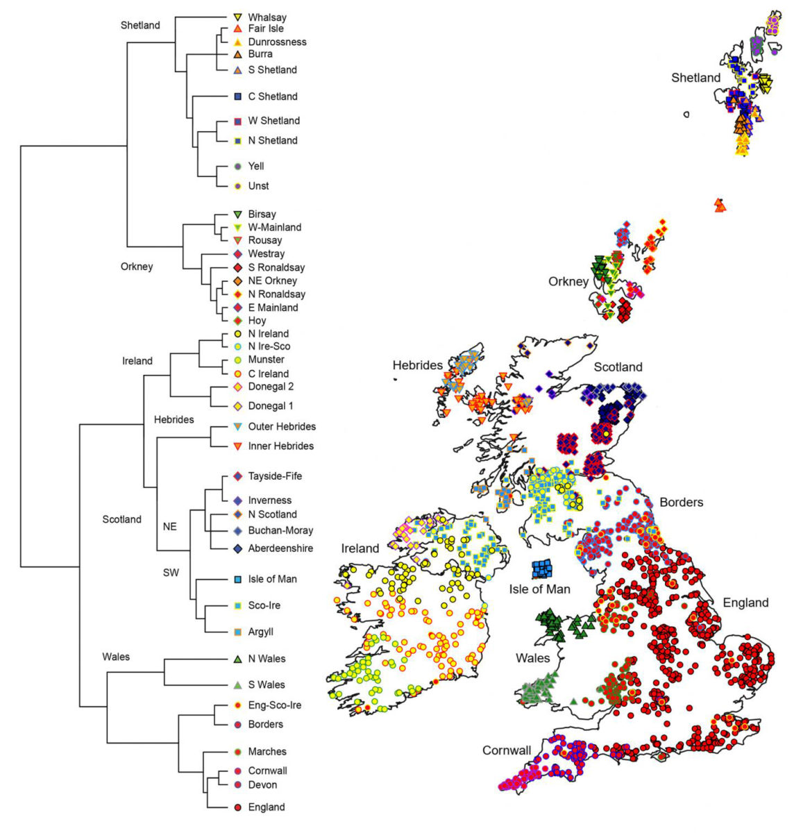 This is a genetic map of the British Isles, based on work by Professor Jim Wilson from the University of Edinburgh's Usher Institute and MRC Human Genetics Unit. Credit: The University of Edinburgh