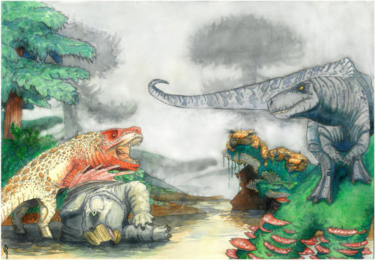 Artist's reconstruction of two rauisuchians fighting over a desiccated corpse of a mammal-relative in the Triassic of southern Africa. In the background, dinosaurs and mammal-like reptiles form other parts of the ecosystem.
Credit: Viktor Radermacher, owns copyright
