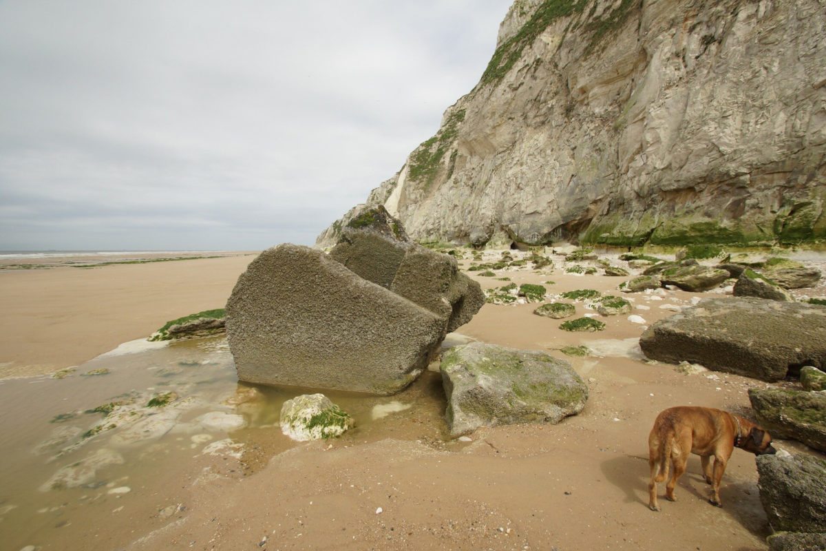 Northern France, beach. Credit: CC0 Public Domain