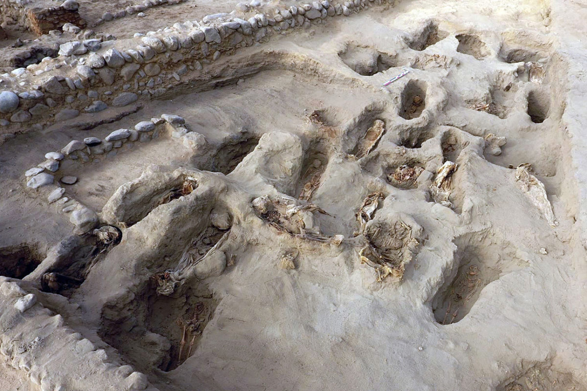 Picture from Programa Arquelogico Huanchacho which shows the remains of some 227 children, who were allegedly offered in a sacrifice ritual by the pre-Columbian Chimu culture.