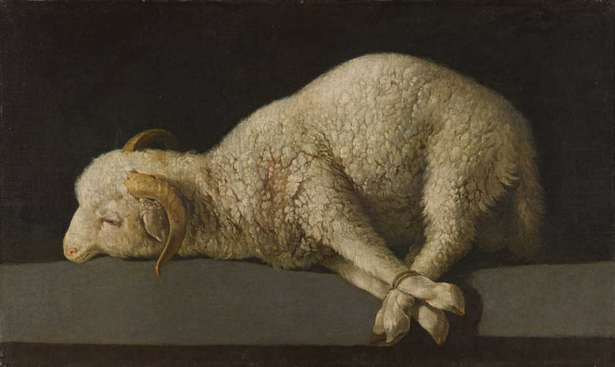 Francisco de Zurbarán, Agnus Dei, 1635–1640. Madrid, Museo Nacional del Prado.
