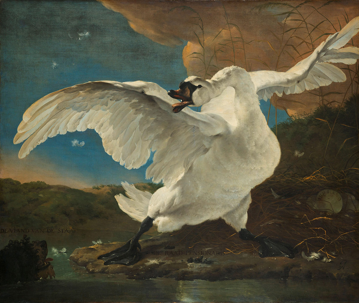 Jan Asselijn, The Threatened Swan, c. 1650. Amsterdam, Rijksmuseum.