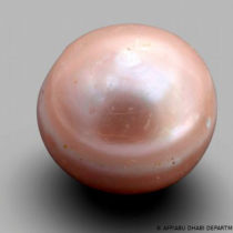 The world’s oldest known natural pearl discovered on Marawah Island