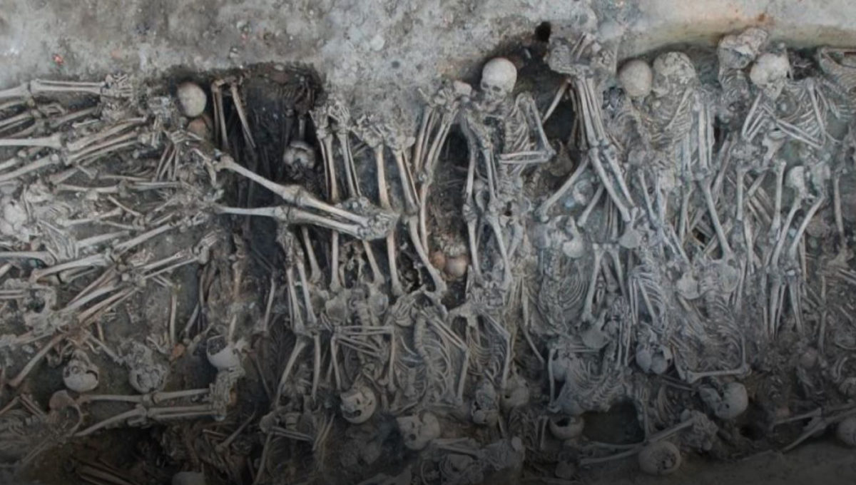 Mass grave dating to the Black Death period, identified in the ’16 rue des Trente Six Ponts’ archaeological site in Toulouse, France. Credit : Archeodunum SAS, Gourvennec Michaël