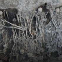 Ancient genomes provide insight into the genetic history of the second plague pandemic
