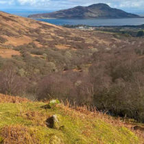 Airborne laser scan reveals unknown ancient sites