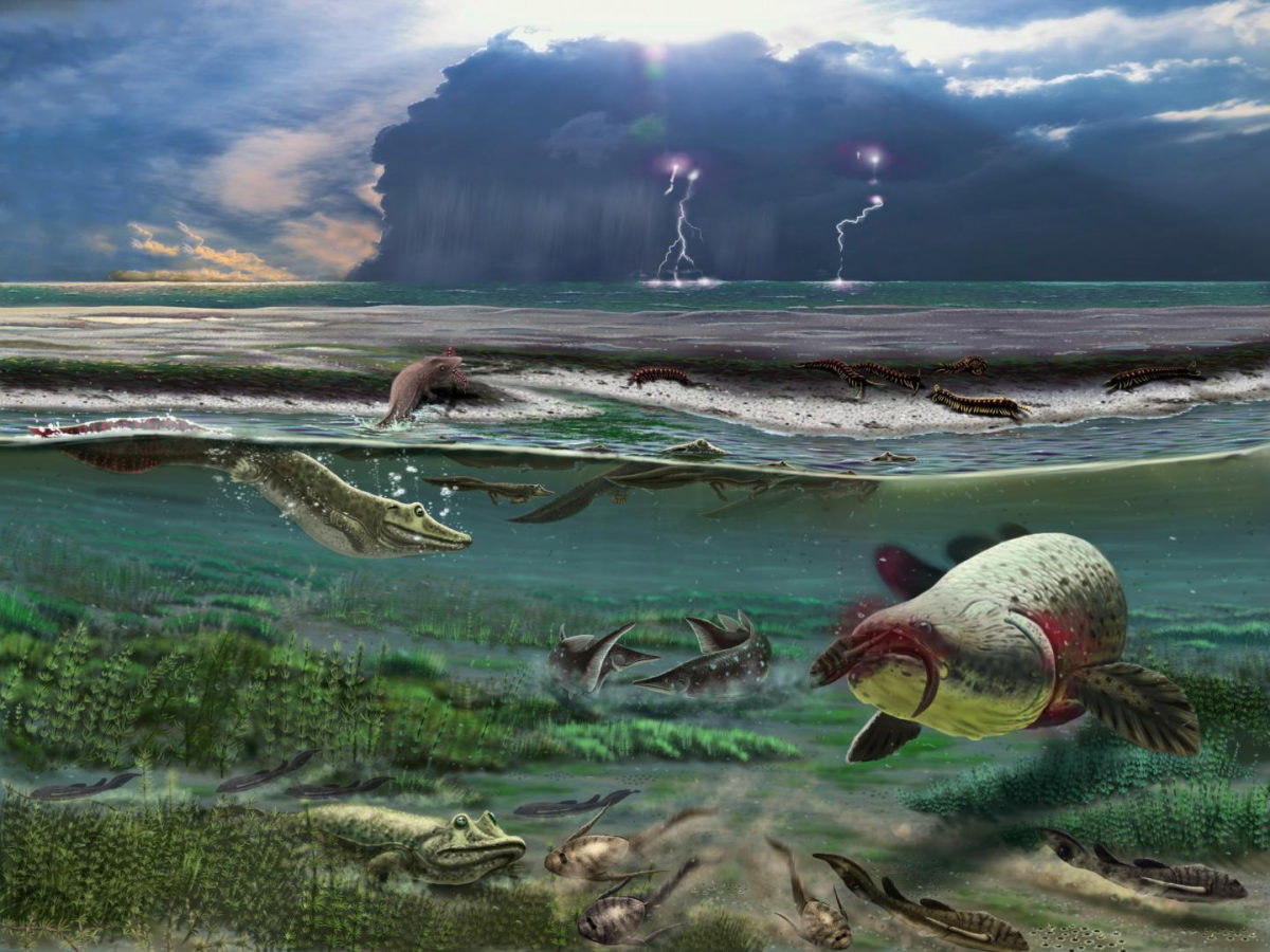 Pictured is the early tetrapod Parmastega. Credit: Mikhail Shekhanov for the Ukhta Local Museum