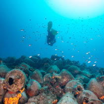 A sea strewn with shipwrecks