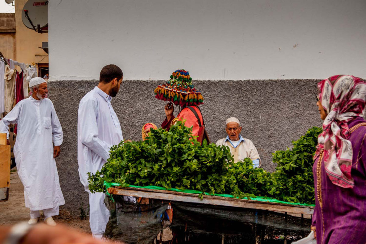 A water seller stands by a cart filled with mint, the essential ingredient for the preparation of Moroccan tea.