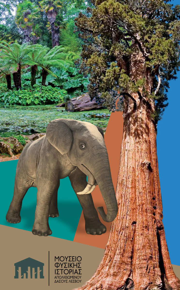 Detail of the exhibition poster. 