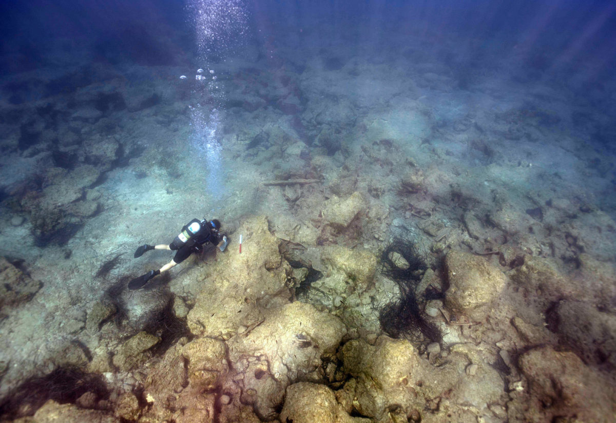 Survey conducted by divers using underwater
scooters, enabled wider coverage of the offshore approaches, identified new finds
including numerous stone anchors and what appears to be the remains of a wreck
carrying roof tiles.