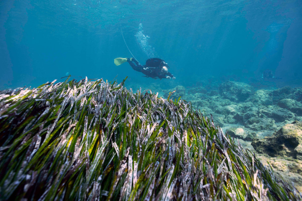 The 2019 season focused on three main tasks: further investigation of the ancient breakwater; completion of the survey of Dreamer’s Bay, its approaches, and the area offshore of the buildings excavated by the University of Leicester team on the coast to the west of the bay.