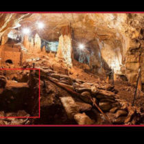 Humans migrated from Europe to the Levant 40,000 years ago