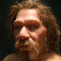 Inbreeding and population/demographic shifts could have led to Neanderthal extinction