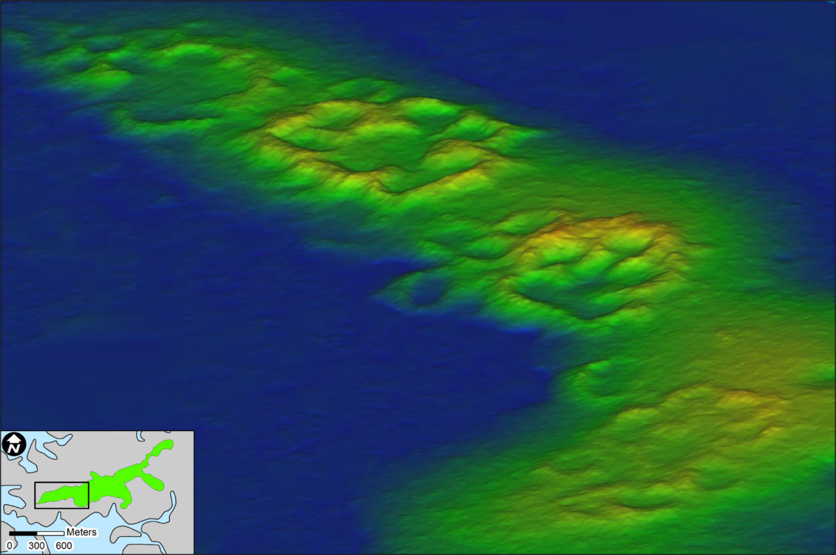 A drone equipped with Light Detection and Ranging quickly collected architectural details and topographic data about the Raleigh Island settlement with unprecedented resolution. The images revealed rings made of oyster shells surrounding 37 residences.