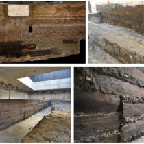 Long-distance timber trade underpinned the Roman Empire’s construction