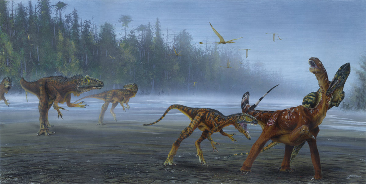 Allosaurus jimmadseni attack juvenile sauropod. Credit : Todd Marshall