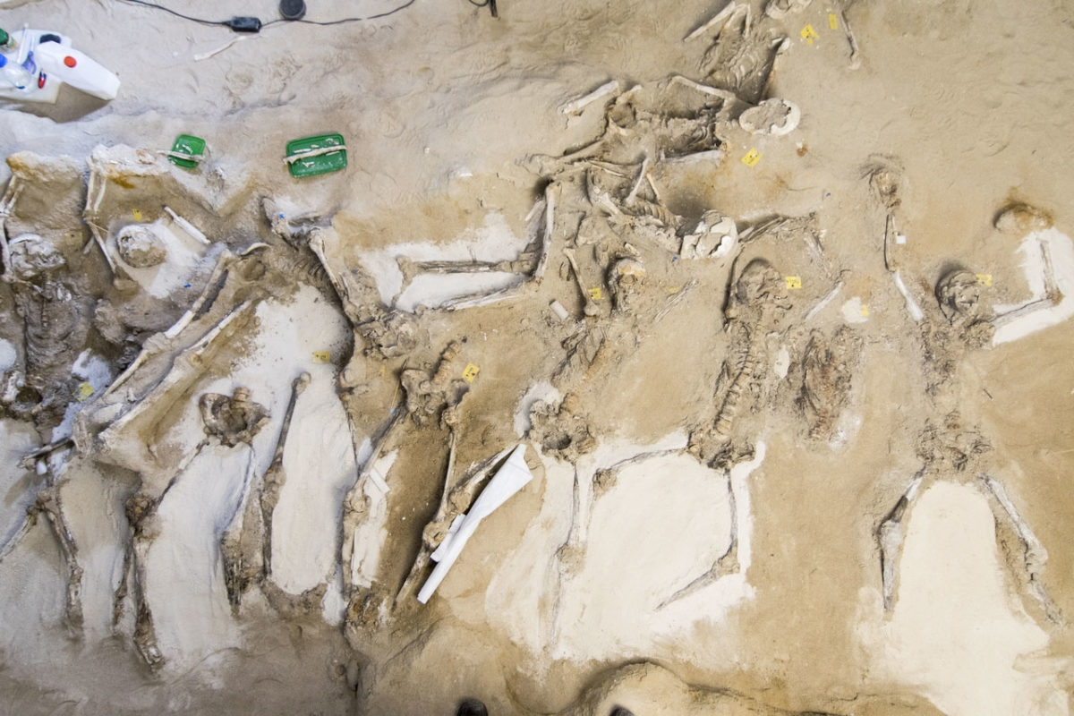 Captives of Phaleron, 2020. Row 1a. Photo: Ministry of Culture and Sports