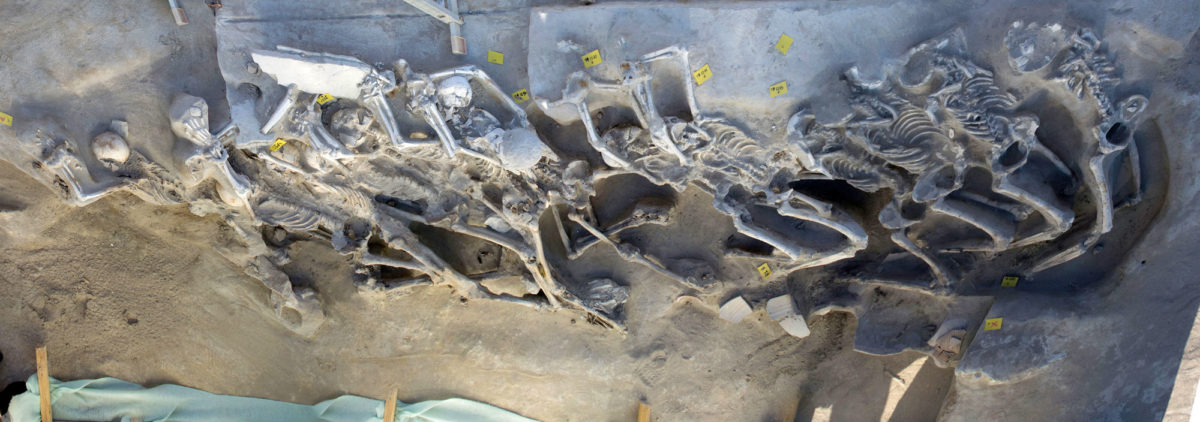 Captives of Phaleron, 2016. Row 3. Photo: Ministry of Culture and Sports