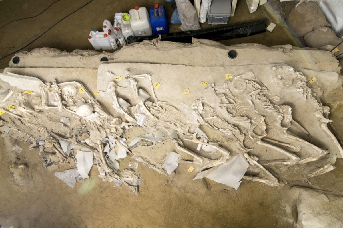 Captives of Phaleron, 2020. Row 3. Photo: Ministry of Culture and Sports