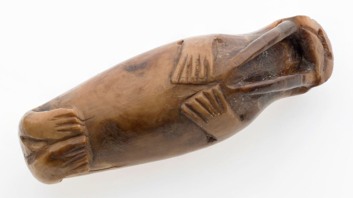 Walrus carving from medieval Trondheim. Credit: Åge Hojem NTNU University Museum.